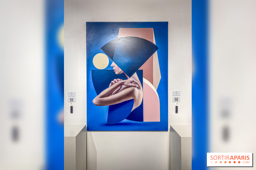 Identité Artificielle : l'exposition de SKIO à la galerie Goldshteyn-Saatort - IMG 7794