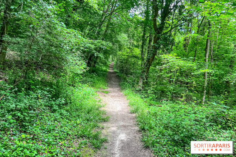 Le kiosque du belvédère de Chatillon à Risny-sur-Seine en Yvelines - IMG 9943