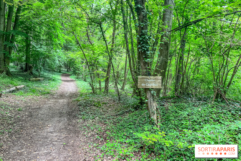 Le kiosque du belvédère de Chatillon à Risny-sur-Seine en Yvelines - IMG 9942