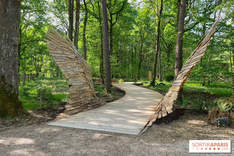 Fauconnier d'un jour - IMG 1370