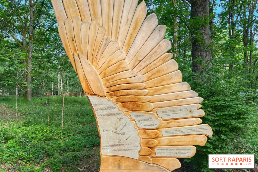 Fauconnier d'un jour - IMG 1374