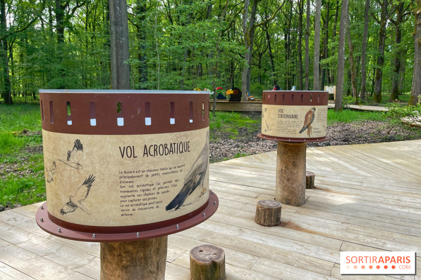 Fauconnier d'un jour - IMG 1377