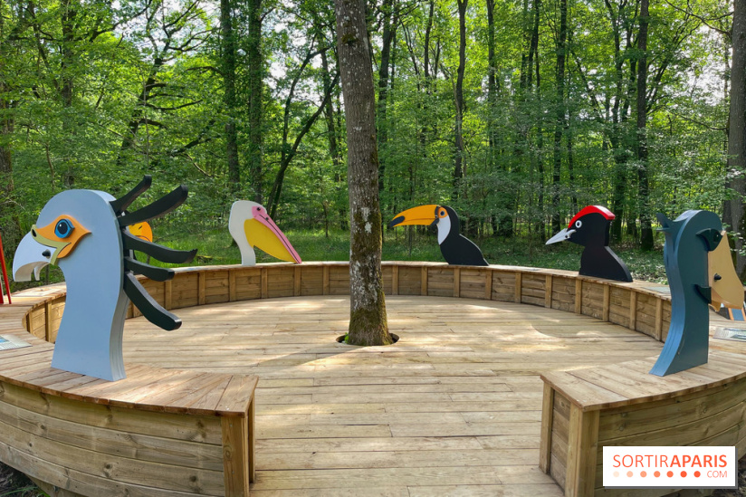 Fauconnier d'un jour - IMG 1383