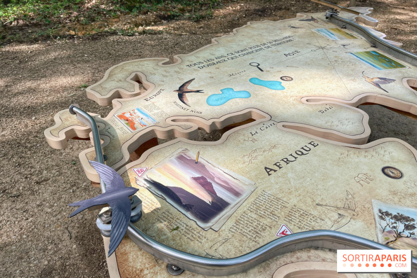 Fauconnier d'un jour - IMG 1386