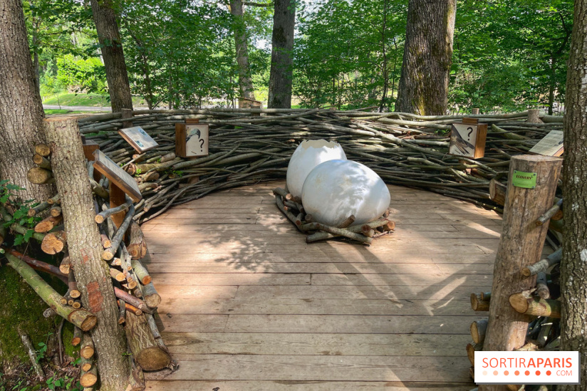 Fauconnier d'un jour - IMG 1390