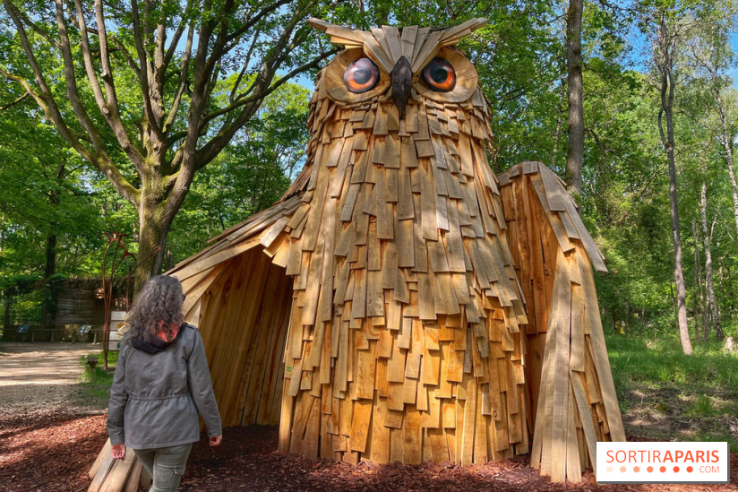 Fauconnier d'un jour - IMG 1397