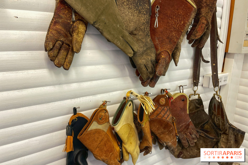 Fauconnier d'un jour - IMG 1414