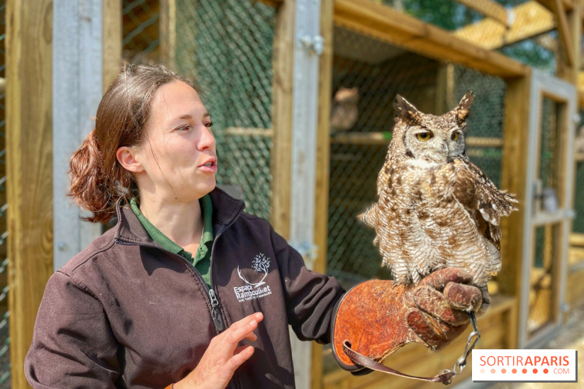 Fauconnier d'un jour - IMG 1415