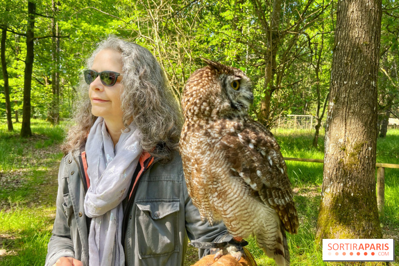 Fauconnier d'un jour - IMG 1418