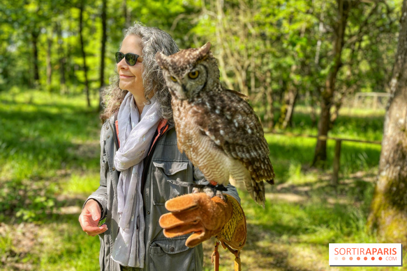 Fauconnier d'un jour - IMG 1420