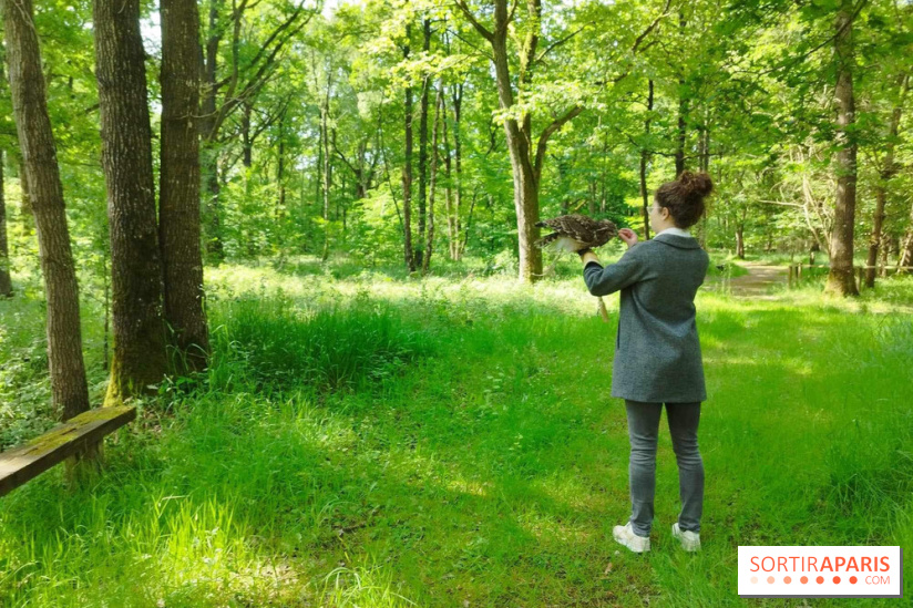 Fauconnier d'un jour - IMG 1428