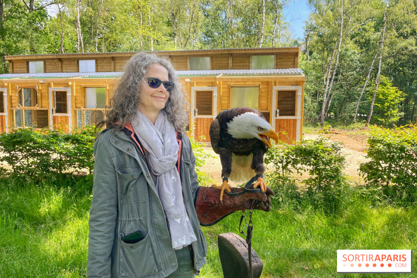 Fauconnier d'un jour - IMG 1444