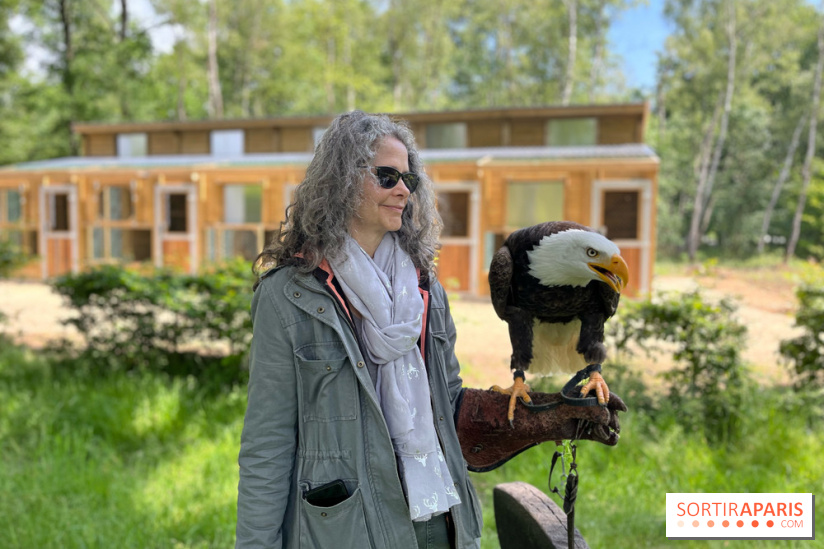 Fauconnier d'un jour - IMG 1445