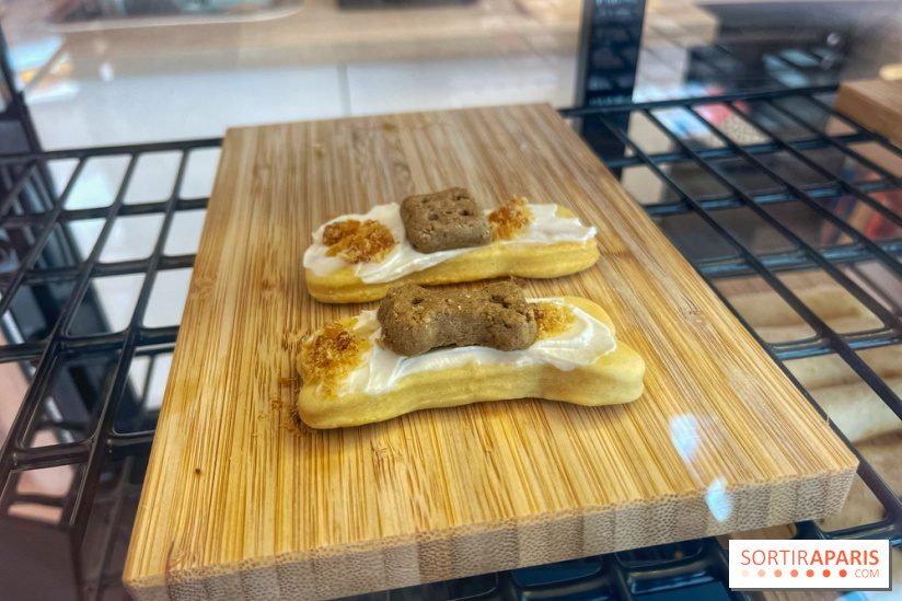 Casa del Doggo - IMG 1591