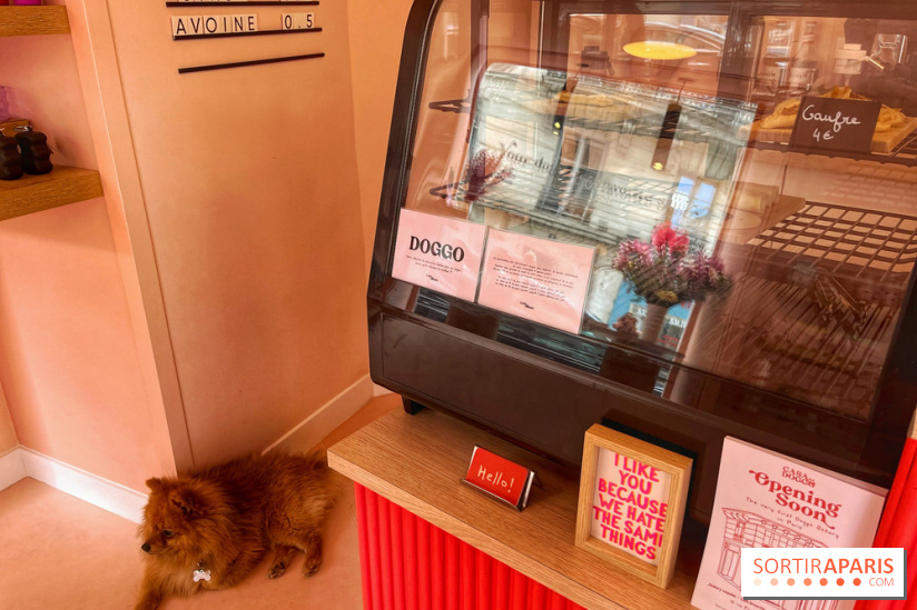 Casa del Doggo - IMG 1596