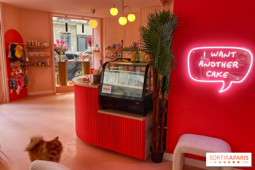 Casa del Doggo - IMG 1599