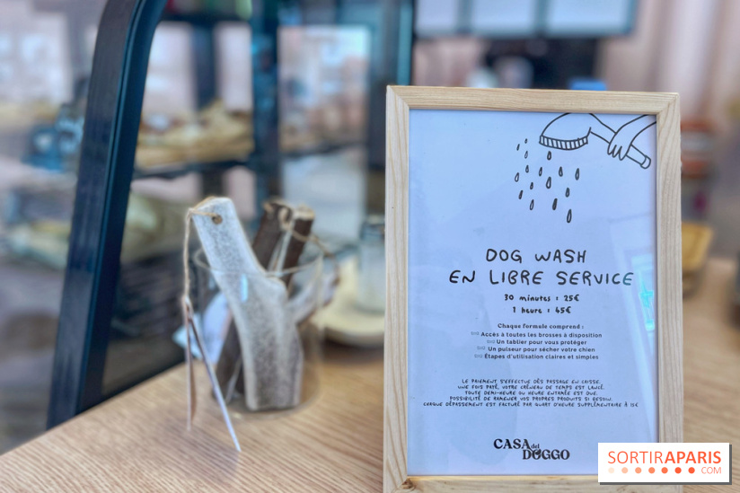 Casa del Doggo - IMG 1602