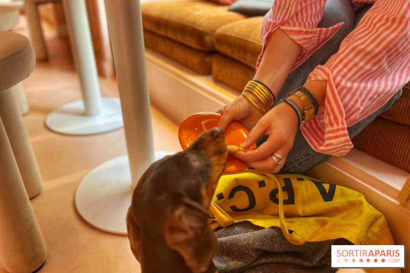 Casa del Doggo - IMG 1619