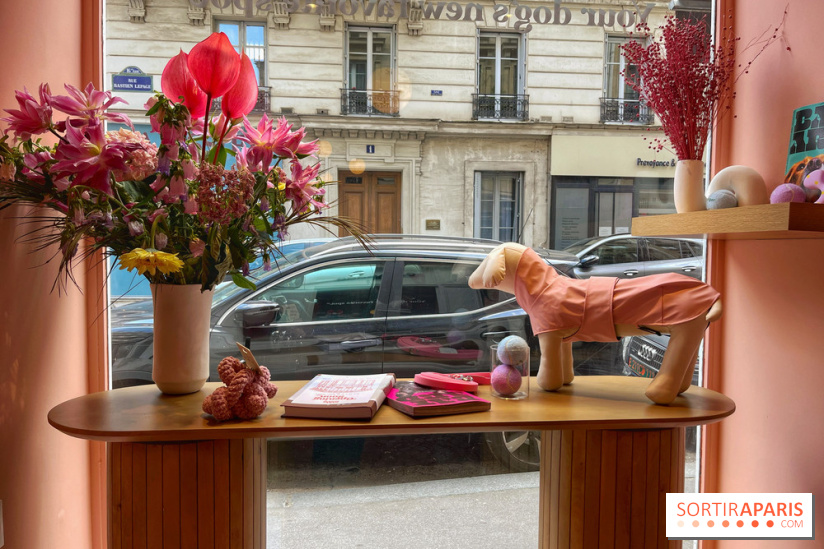 Casa del Doggo - IMG 1621