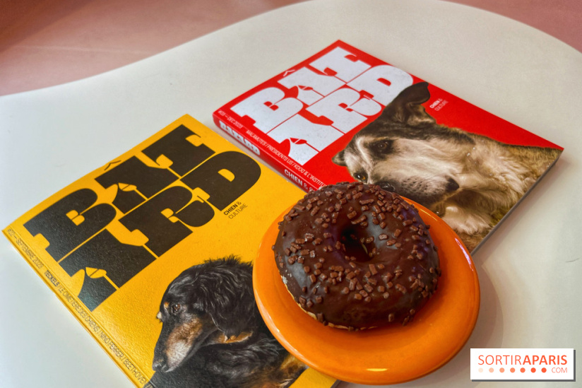 Casa del Doggo - IMG 1628