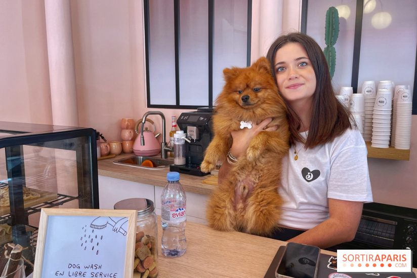 Casa del Doggo
