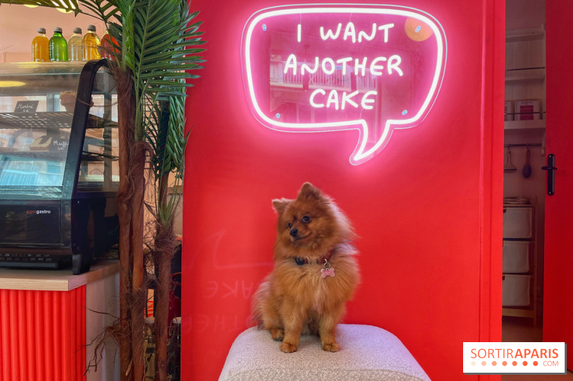 Casa del Doggo - IMG 1642