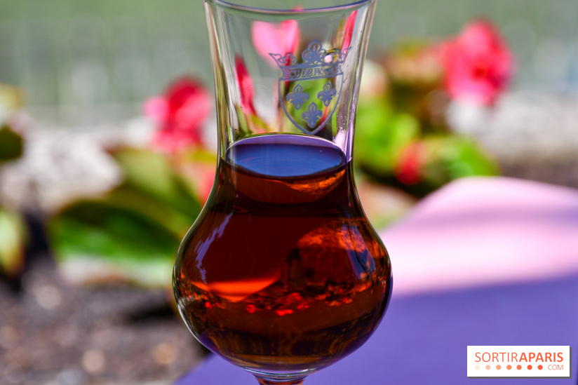 L'Écu de France, un restaurant gastronomique en bord de Marne - DSC 1465