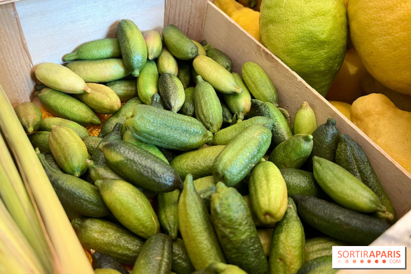 Lemon Story - Agrumes