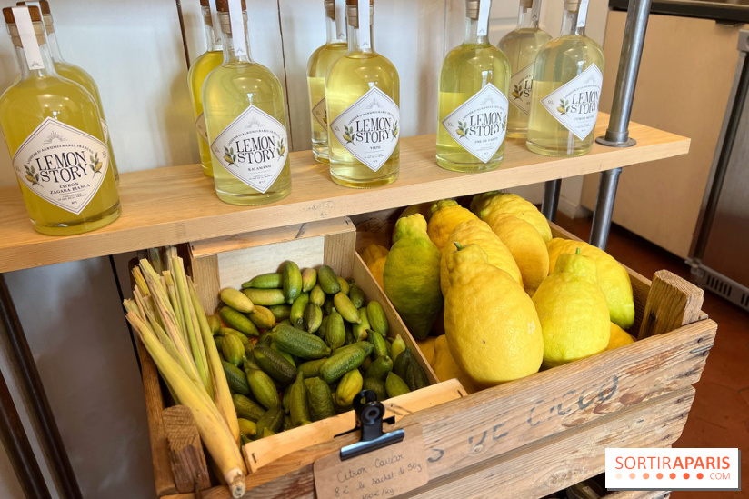 Lemon Story - Agrumes et limoncello
