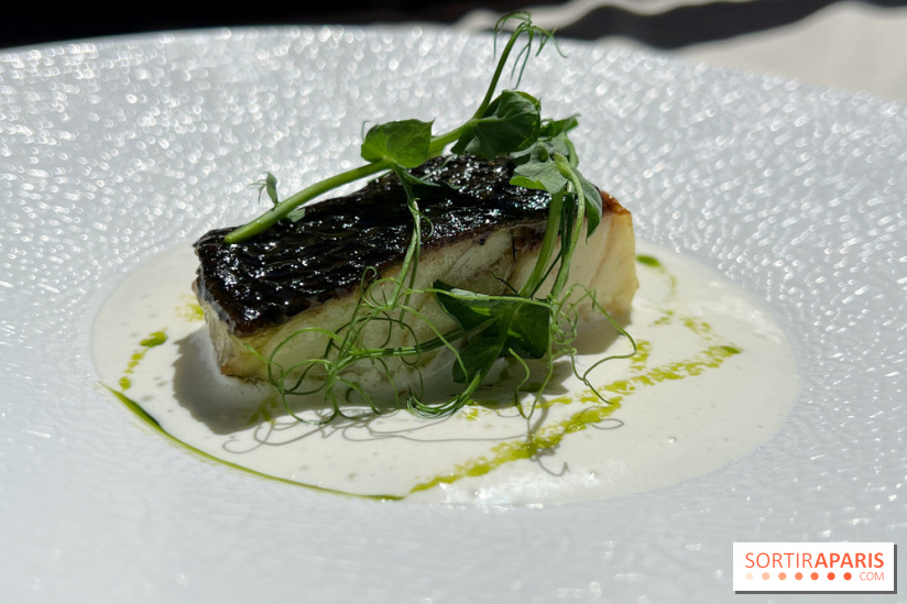 Petit Boutary - Poisson, pamplemousse, salicorne