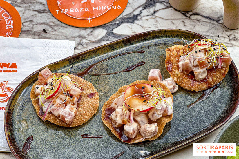 Terraza Mikuna, bar à tapas sud-américain sur la terrasse rooftop du BHV Marais - image00052
