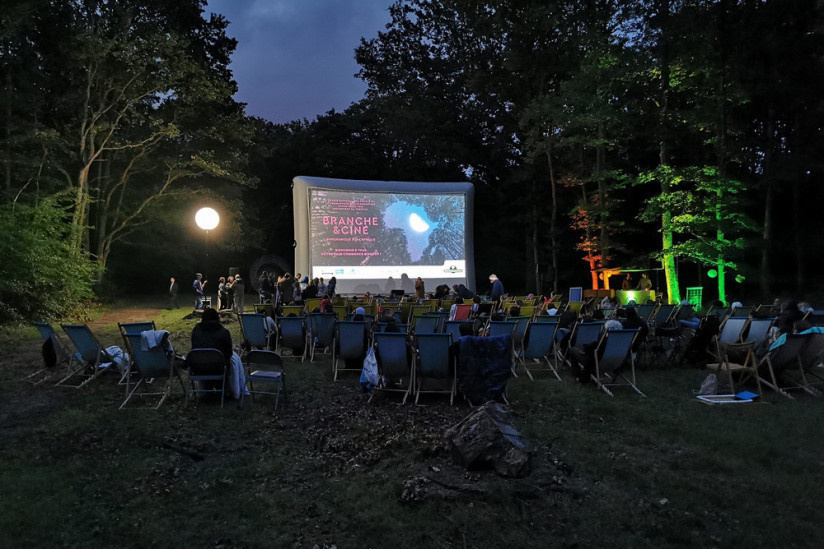 "Branche & Ciné 2024" - du 28 juin au 6 juillet - Le festival de cinéma : projections en plein air | Office national des forêts
