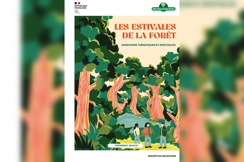 LES ESTIVALES DE LA FORÊT 2024 - Sorties nature et spectacles en forêt - du 01 juin au 28 août | Office national des forêts