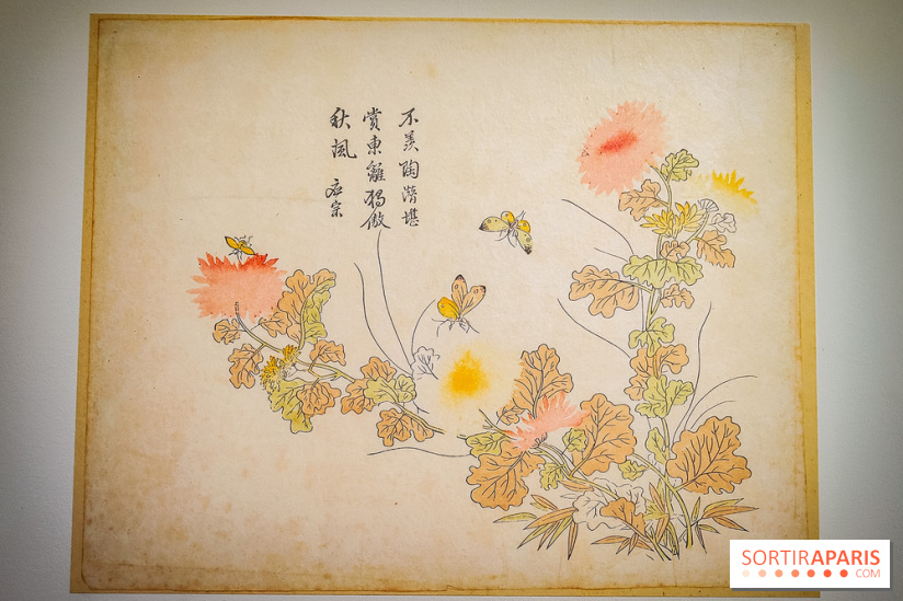 Au cœur de la couleur : l'exposition autour de la porcelaine de Chine au musée Guimet - nos photos - IMG20240611175418