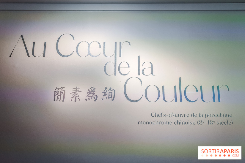 Au cœur de la couleur : l'exposition autour de la porcelaine de Chine au musée Guimet - nos photos - IMG20240611174503