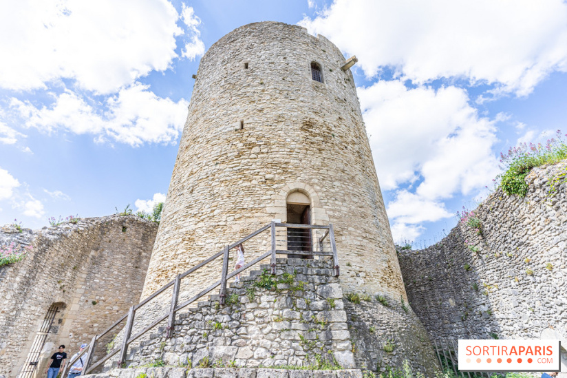 Le Château de la Roche Guyon, le château troglodyte dans le Val-d'Oise - 95 -  donjon