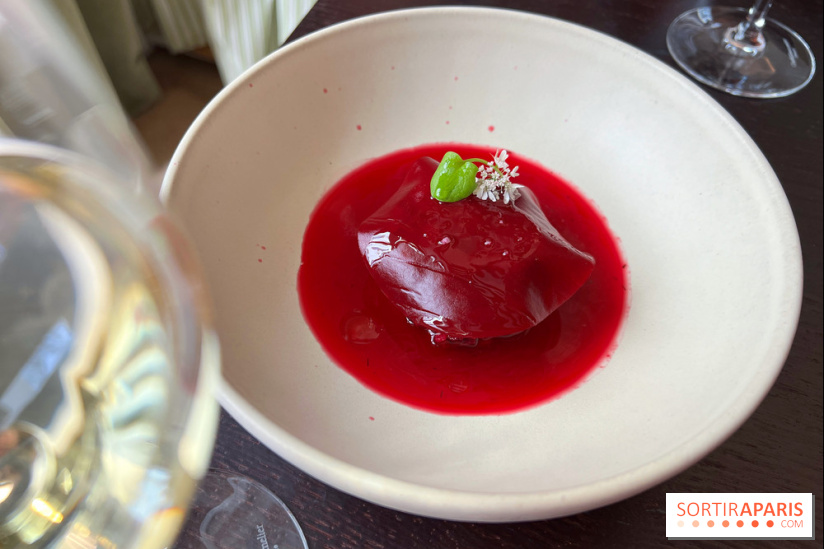 Matka - Bortsch glacé