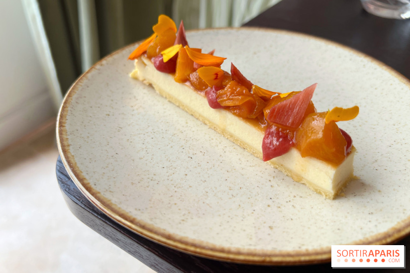 Matka - Cheesecake rhubarbe