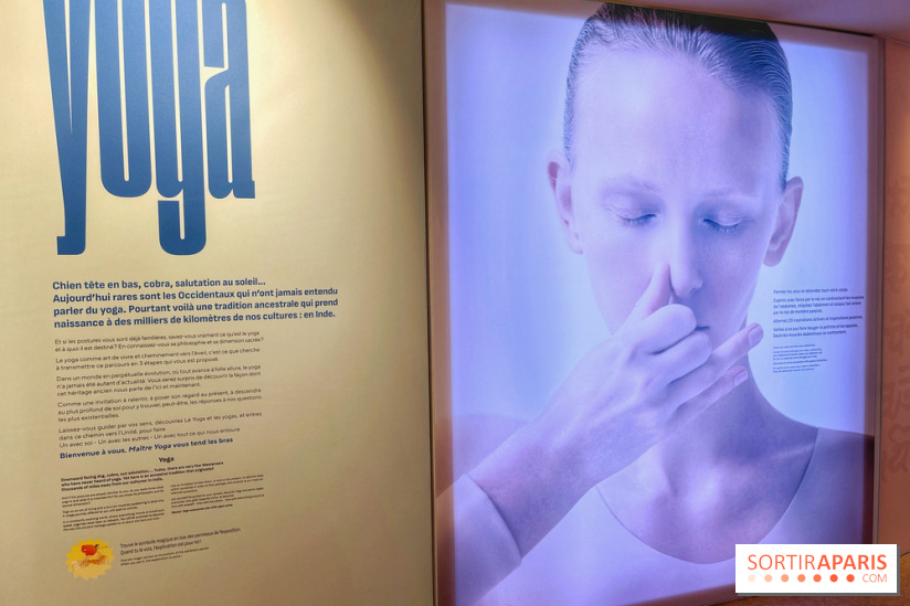 Maitre Yoga - IMG 1867