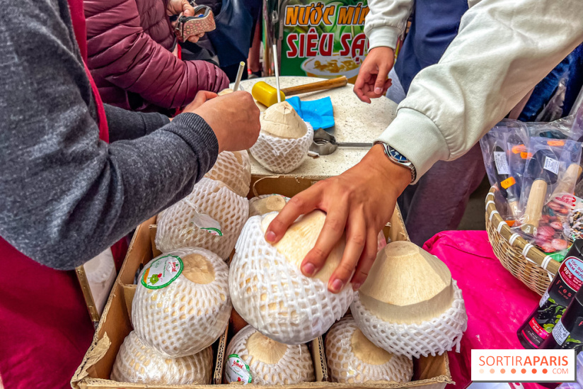 Ici Vietnam Festival à Paris - photos