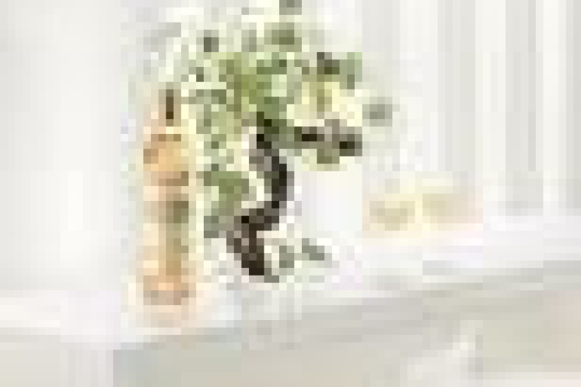 Lillet, nouvelle campagne.