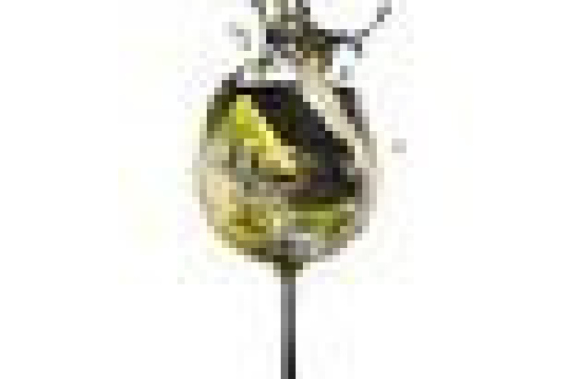 Cocktail martini royale bianco ®