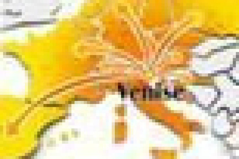 Aperol, légende italienne depuis 1919