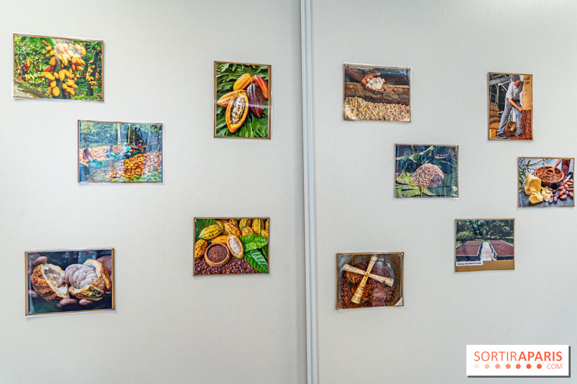 Läderach Opéra, la boutique de chocolats suisse  -  A7C6264