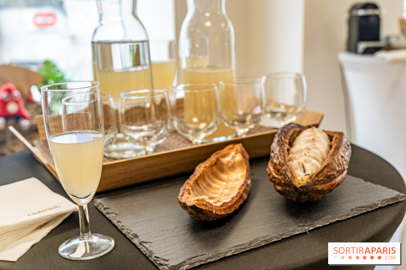 Läderach Opéra, la boutique de chocolats suisse  -  A7C6263