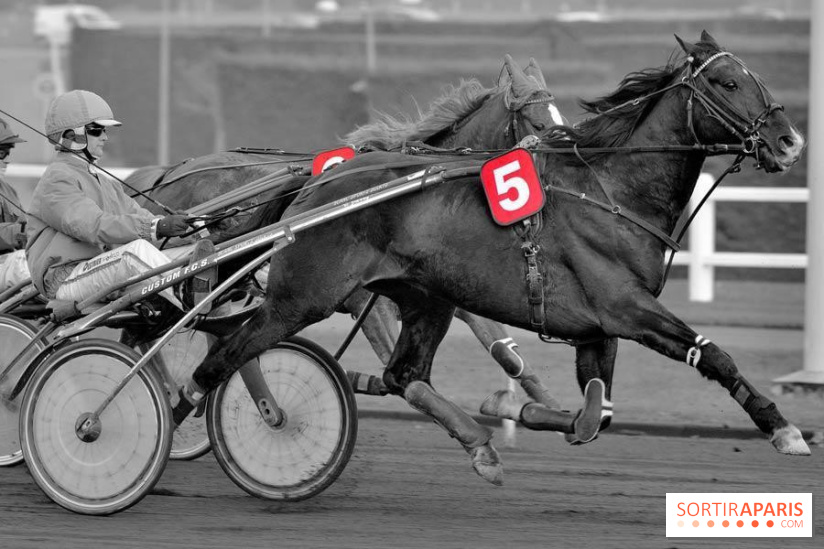 Les Courses spectacle de l'Hippodrome Paris-Vincennes