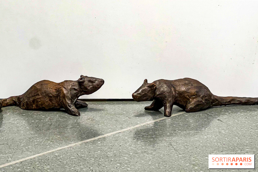 Exposition de Nina Jayasuriya chez Sisley - image00014