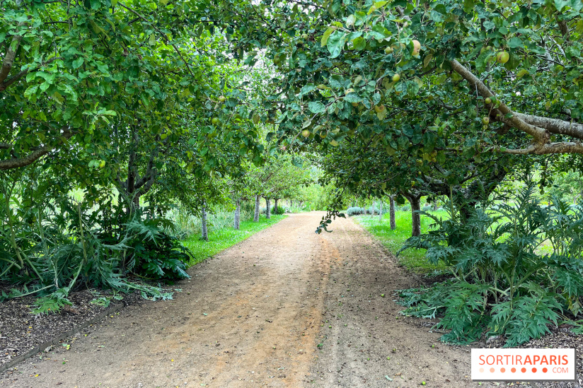 Potager-Fruitier de la Roche Guyon - nos photos - image00031