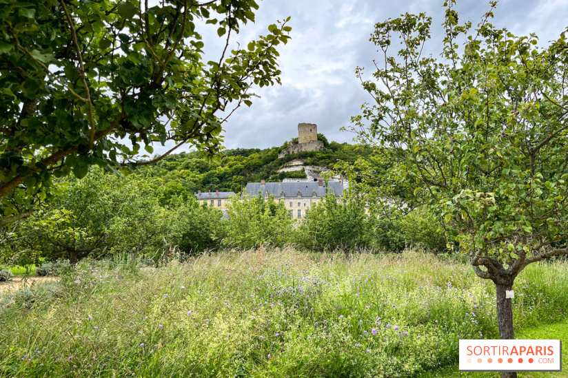 Potager-Fruitier de la Roche Guyon - nos photos - image00027