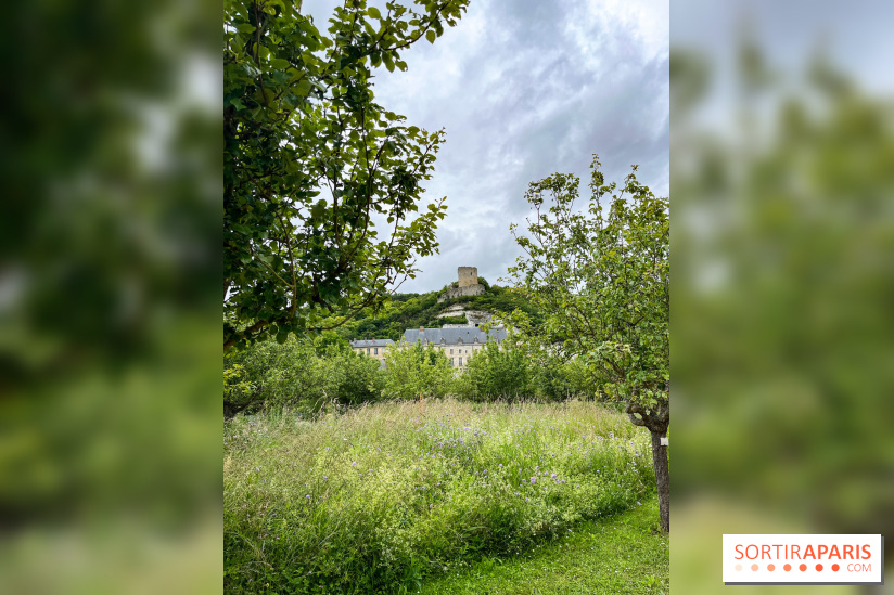Potager-Fruitier de la Roche Guyon - nos photos - image00028
